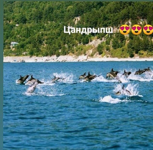 Comfort Gantiadi Kültér fotó