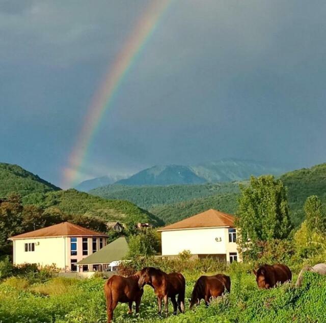 Comfort Gantiadi Kültér fotó